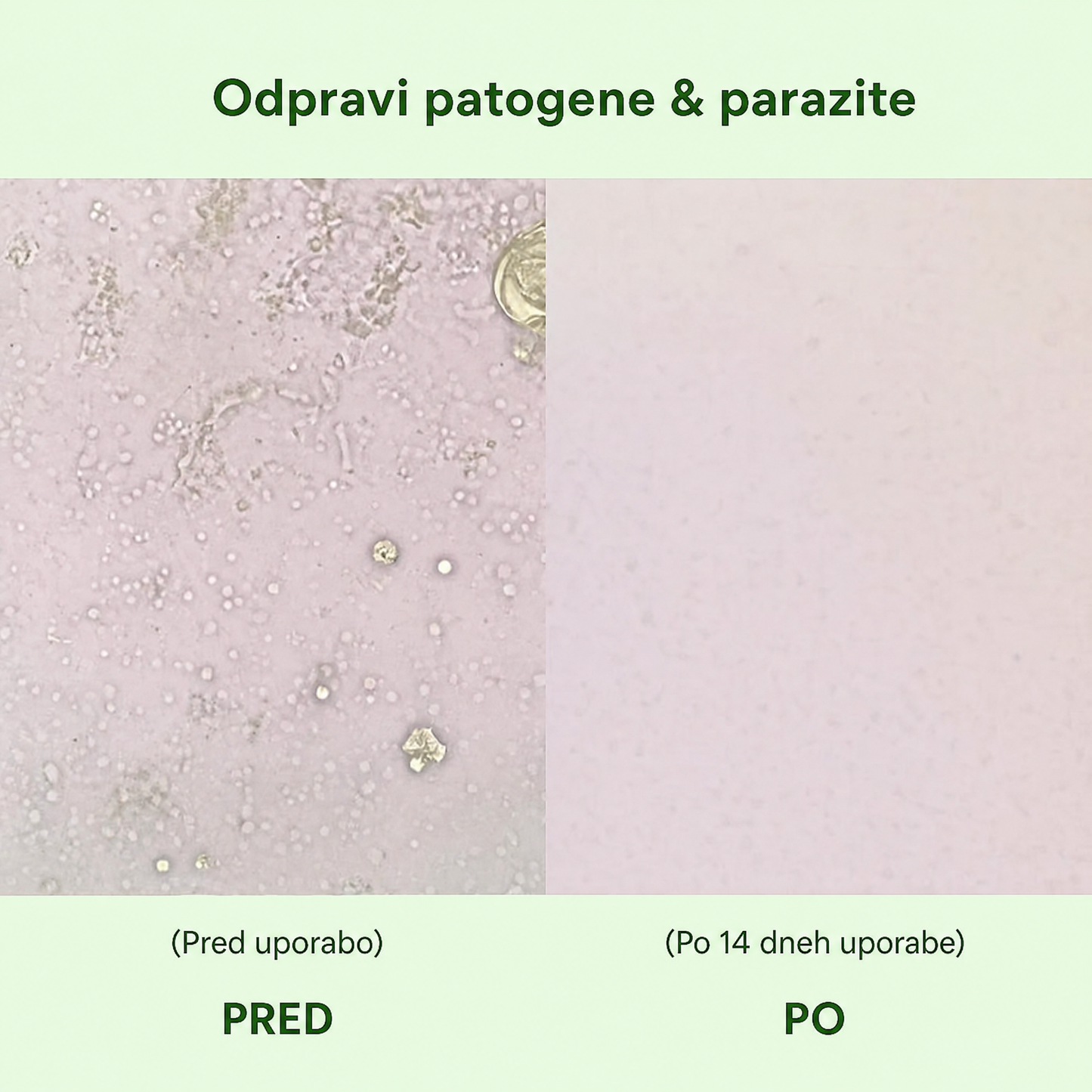 Zrevnika Origano — 3-mesečno zdravljenje